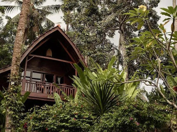 The Jungle Family Villa