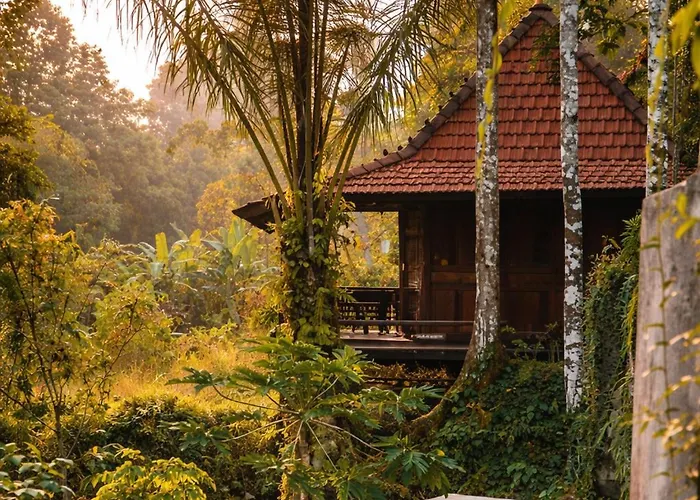 The Jungle Family Villa *