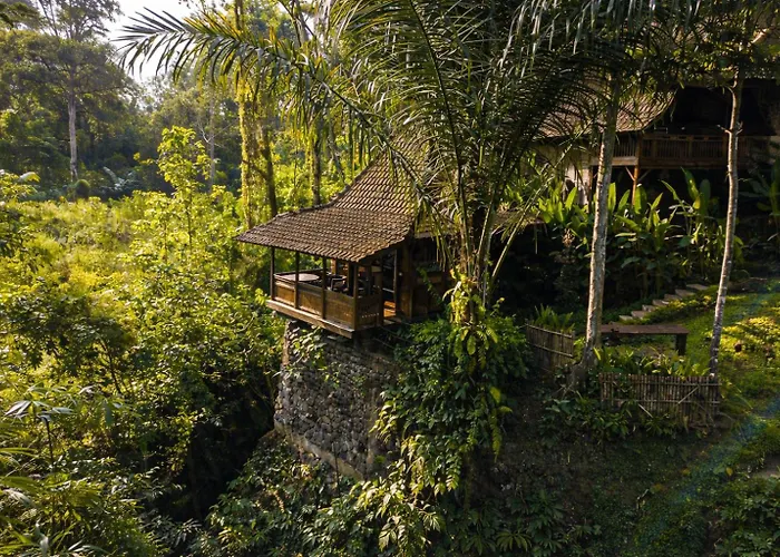 Villa The Jungle Family