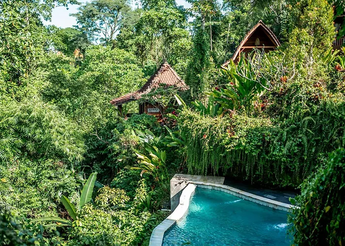 The Jungle Family Ubud
