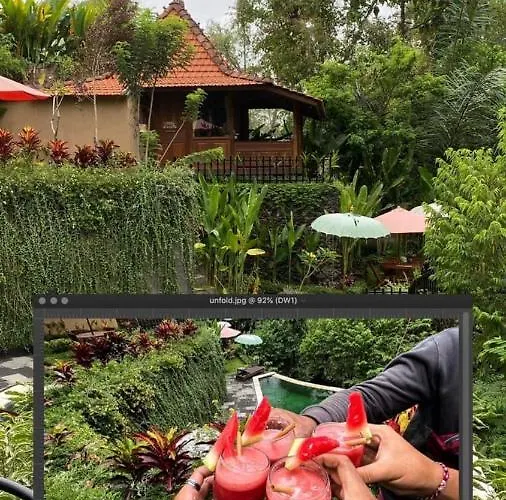 The Jungle Family Ubud